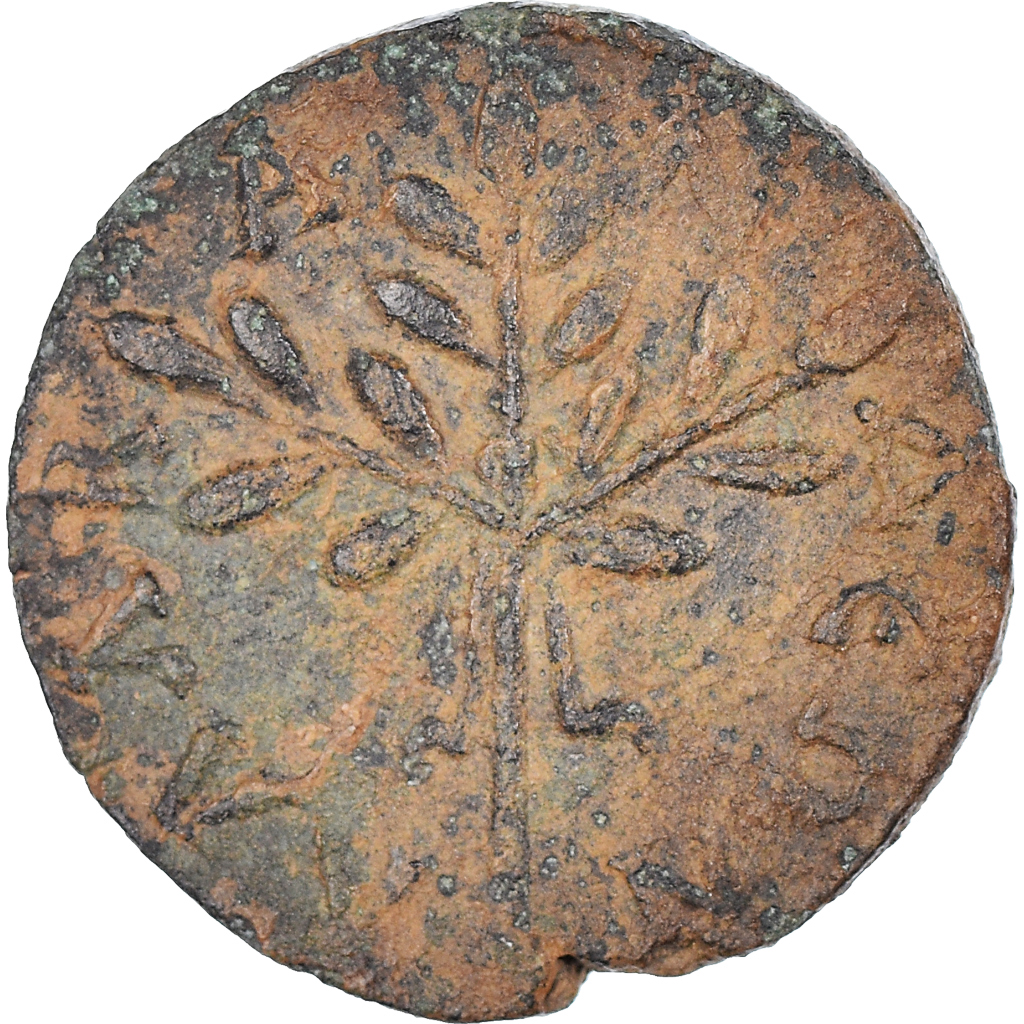 Coin, Caria, Caracalla, Bronze Æ, 198-217, Alabanda, , Bronze