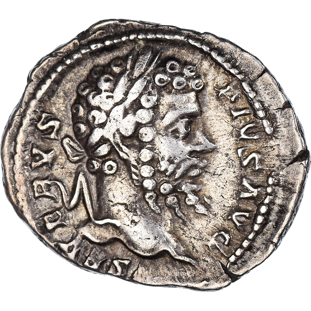 Coin, Septimius Severus, Denarius, 202-210, Rome, , Silver, RIC:265