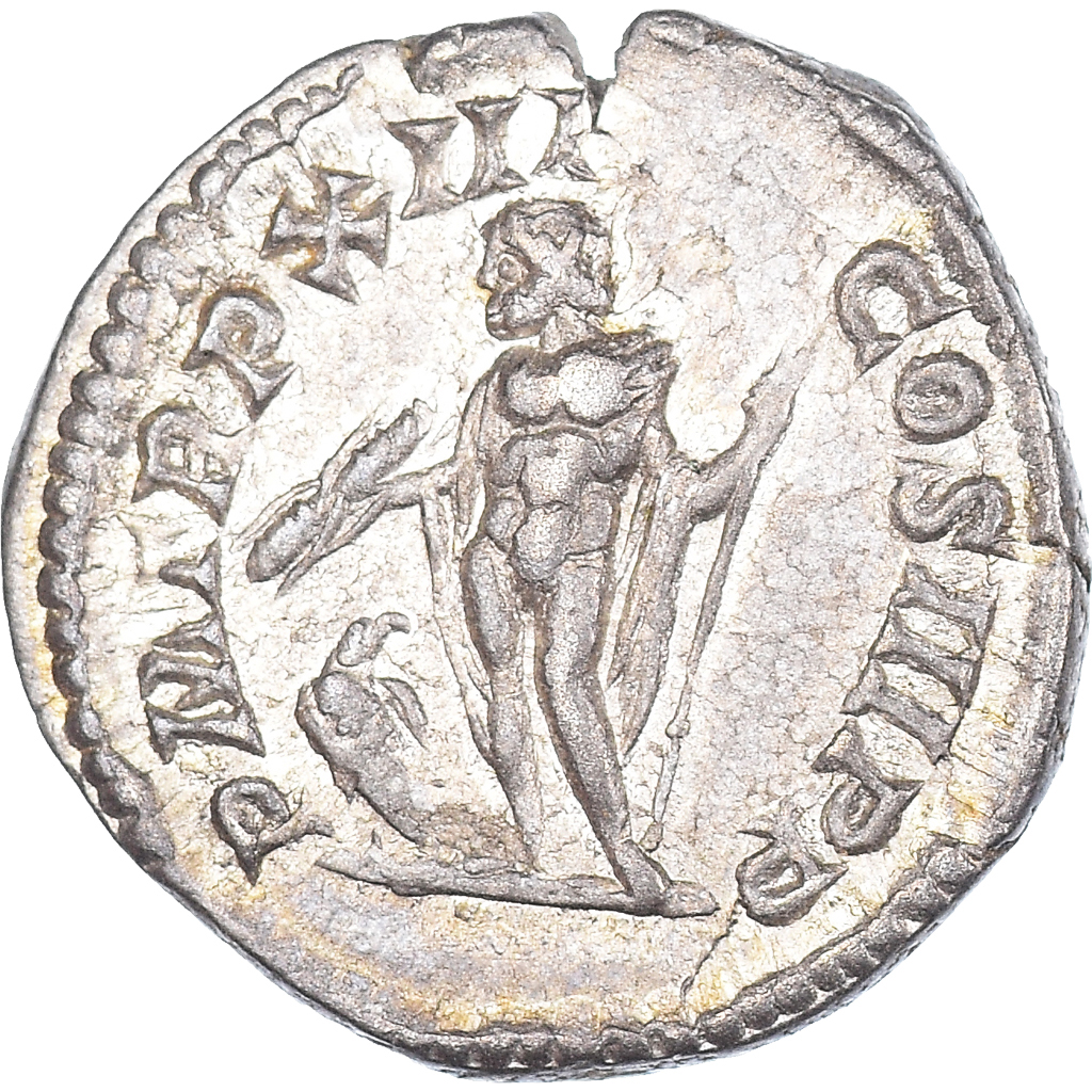 Coin, Septimius Severus, Denarius, 205, Rome, , Silver, RIC:196