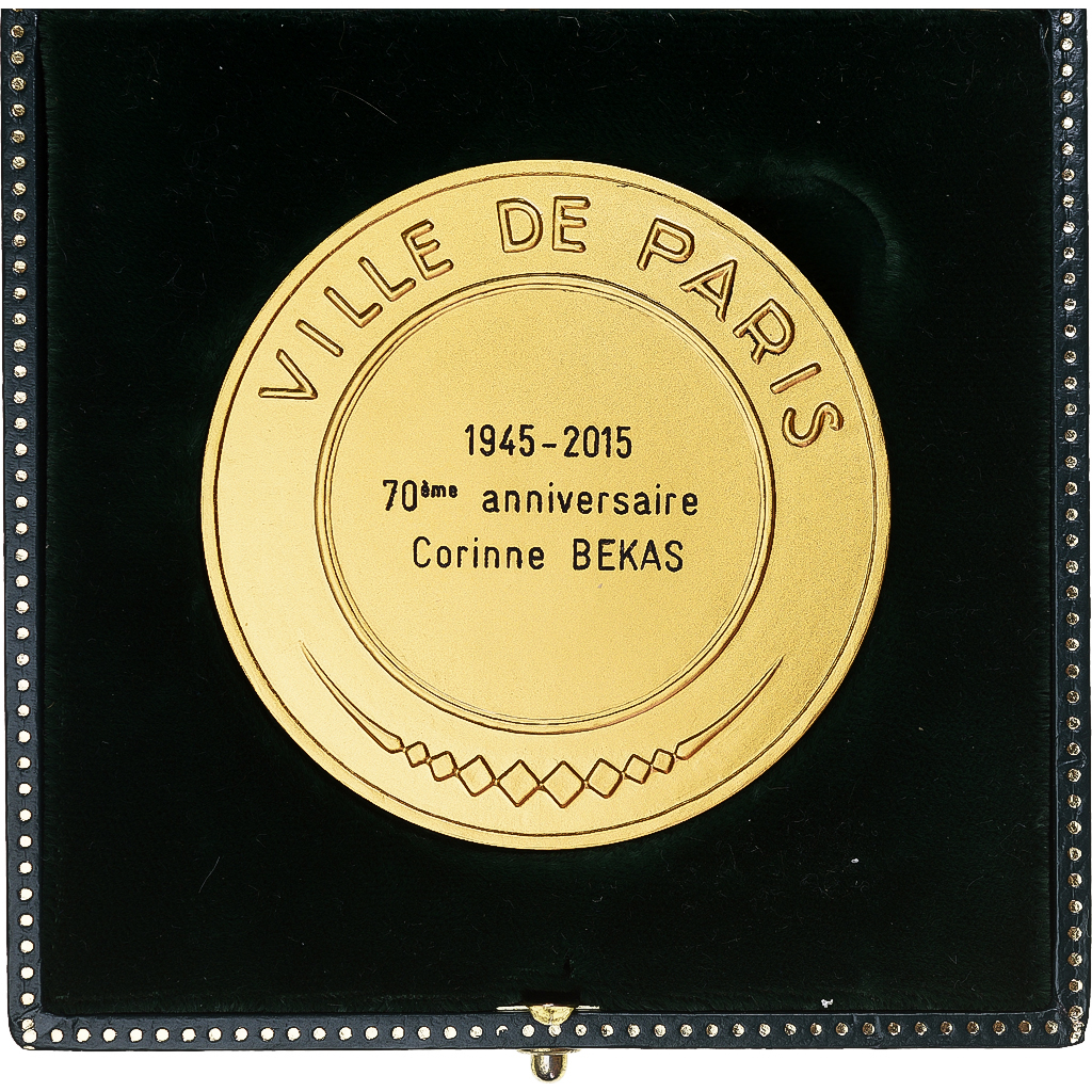 France, Medal, Ville de Paris, Fluctuat nec Mergitur, 2015, Delannoy, 