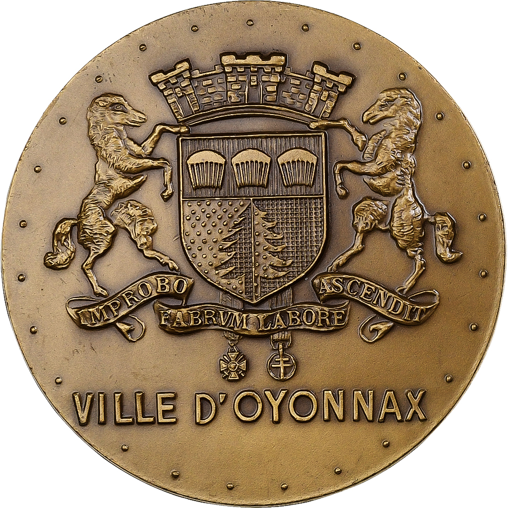 France, Medal, Ville d'Oyonnax, 1988, Bronze, 