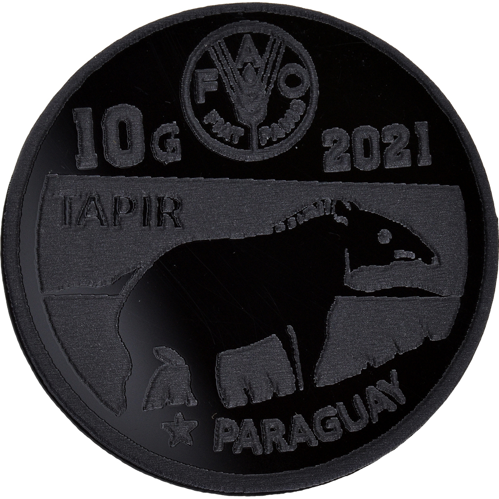 Coin, Paraguay, 10 Guaranies, 2021, Fantasy items. Colorized.Mercosur, 
