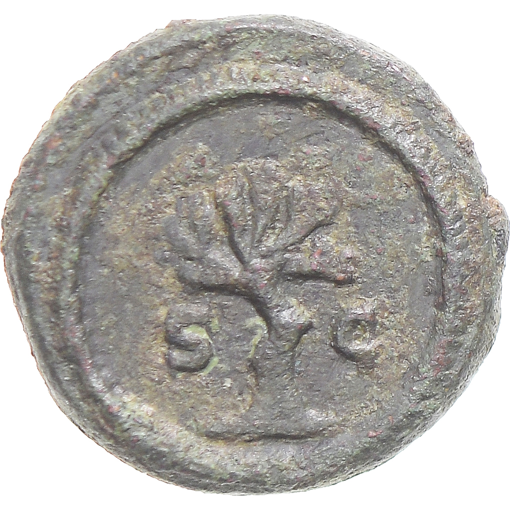 Coin, Antoninus Pius, Quadrans, 117-161, Rome, EF(40-45), Bronze, RIC:II-9