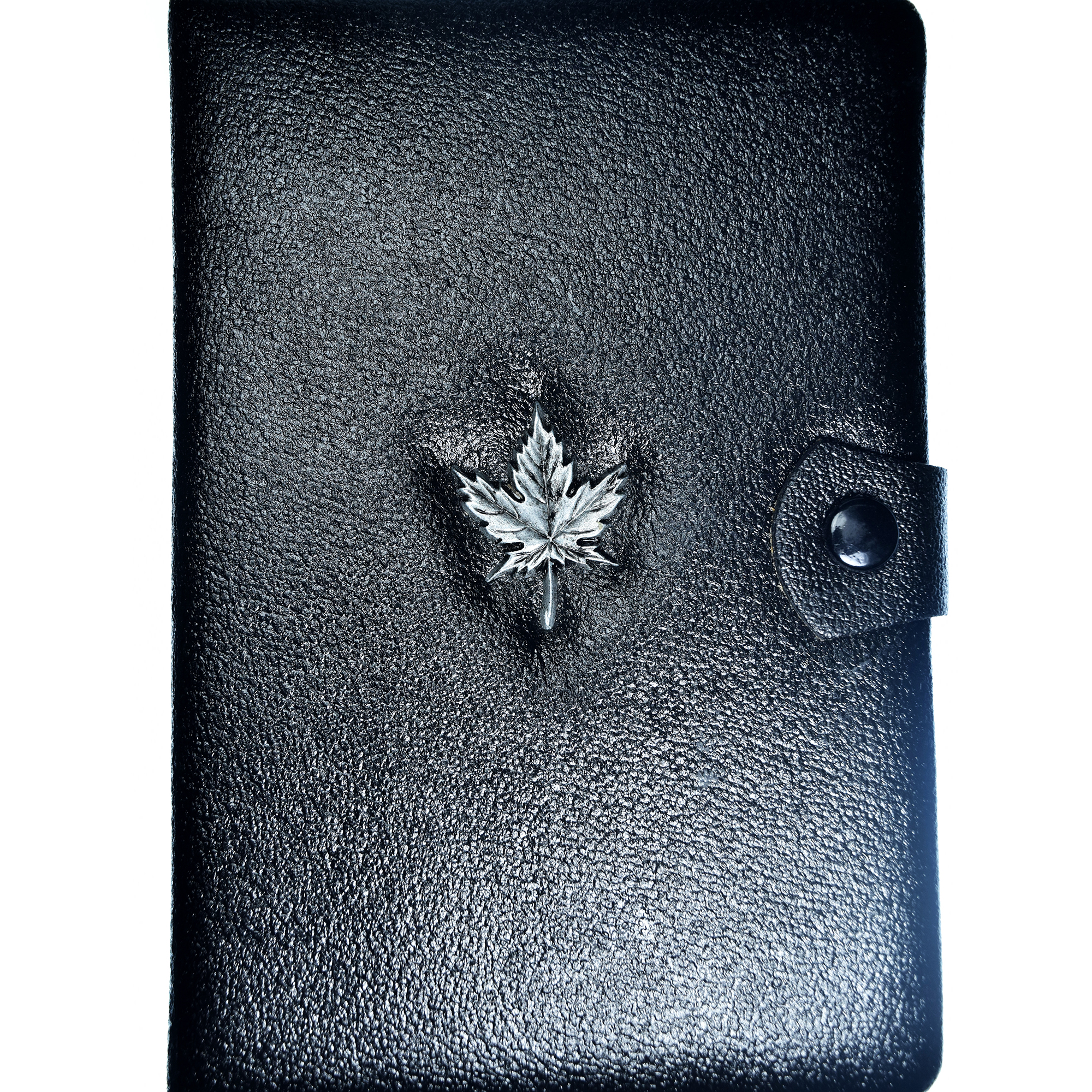 Coin, Canada, Set, 1981, Royal Canadian Mint, Set 7 Monnaies.BE, 