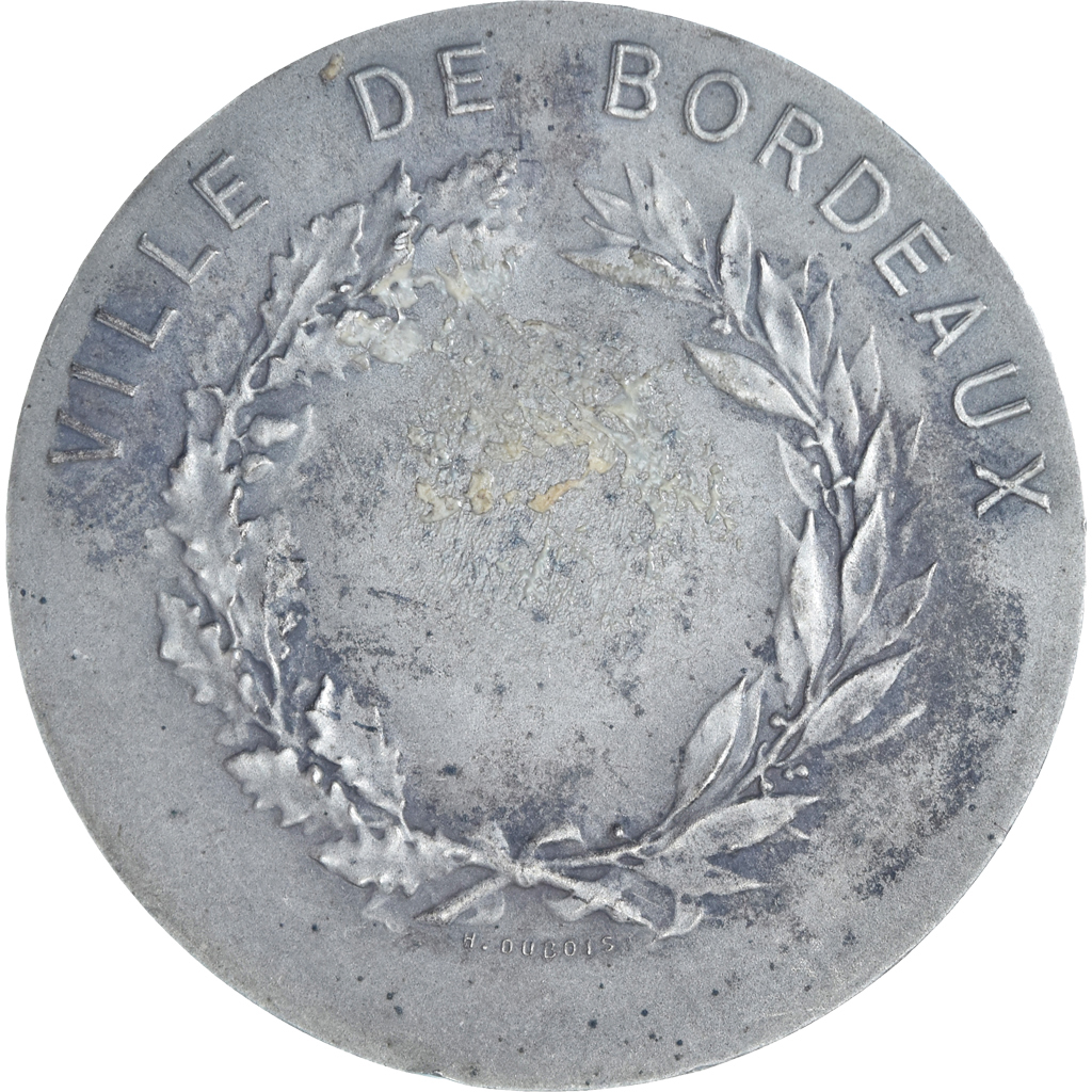 France, Medal, Ville de Bordeaux, Geography, Dupuis.D, , Silver
