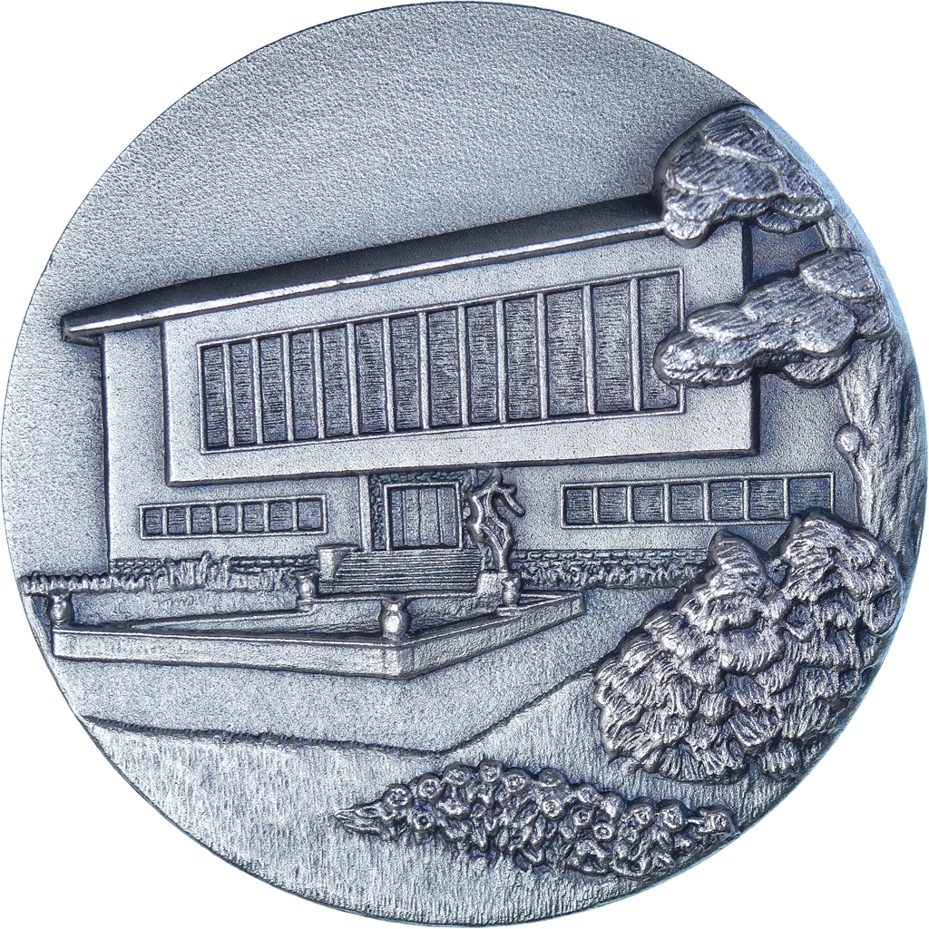 France, Medal, Ville de Bron, FIA, , Silvered bronze