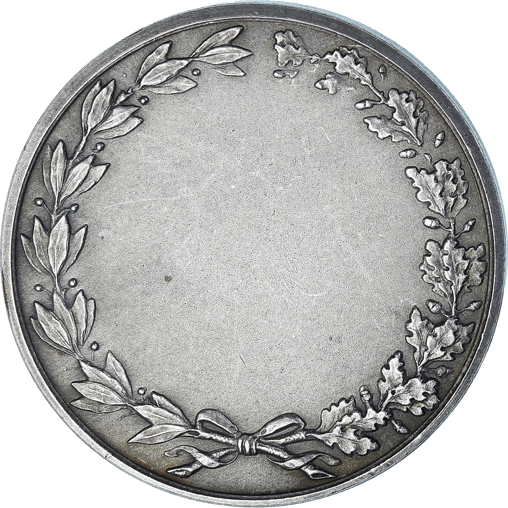 France, Medal, Fantassin, Tir Militaire, WAR, , Silvered bronze