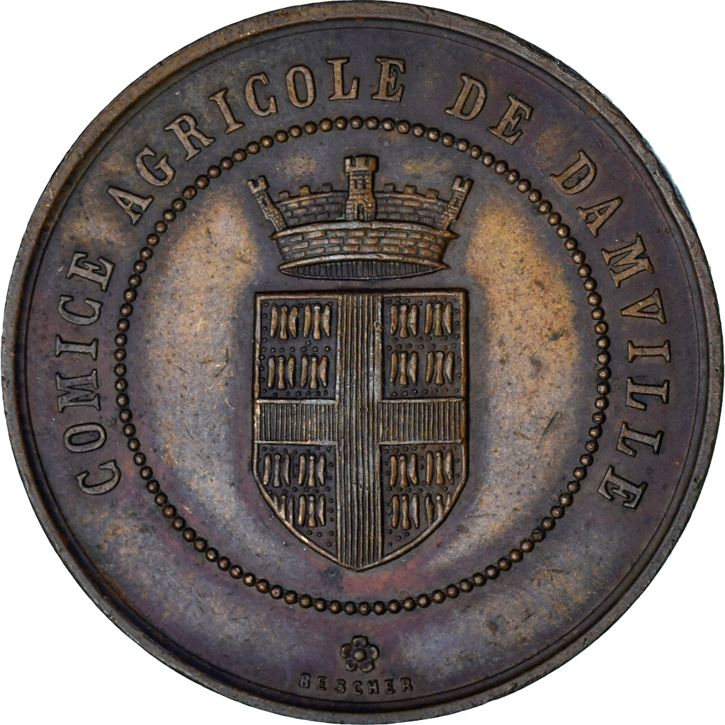 France, Medal, Comice Agricole de Damville, Agriculture, , Bronze
