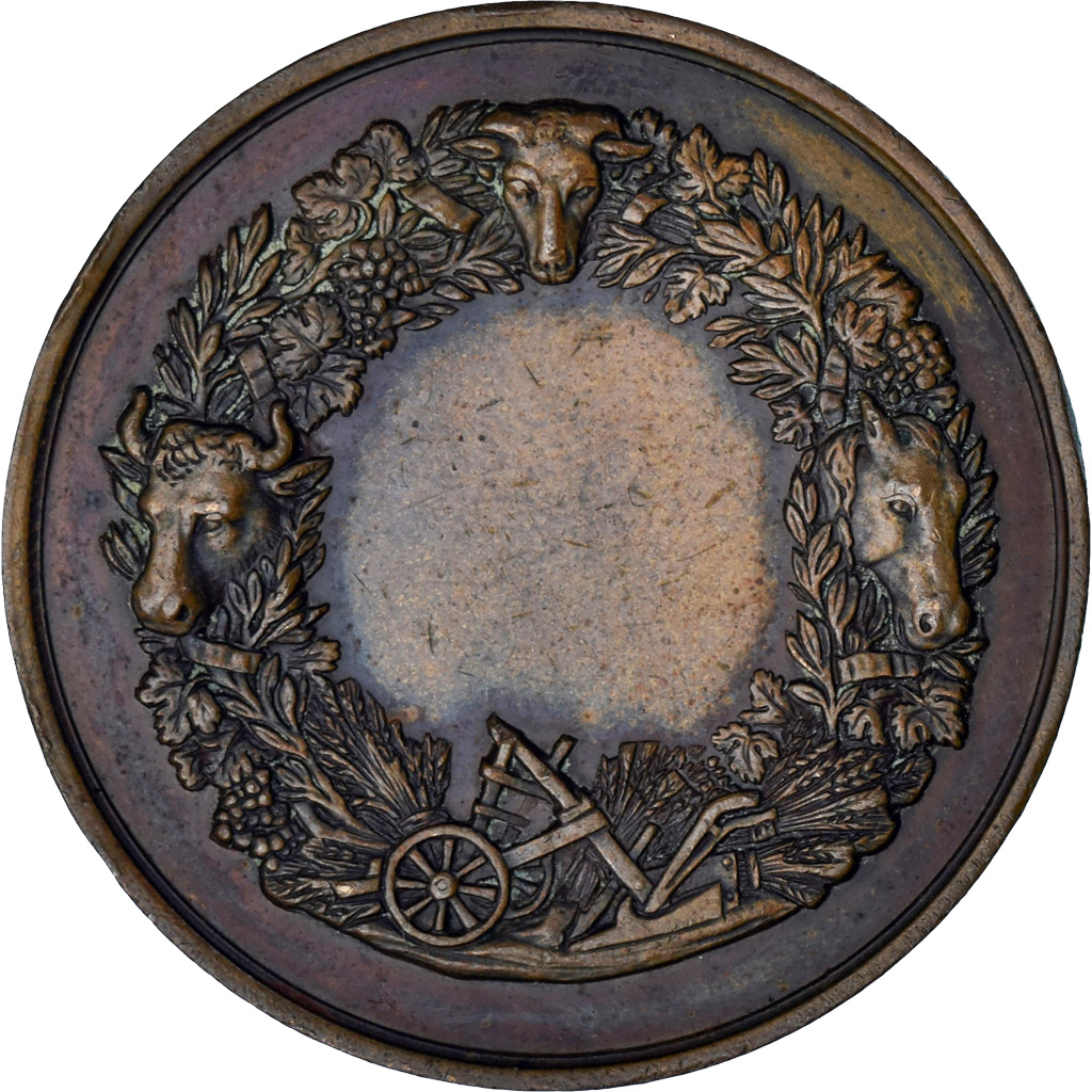 France, Medal, Comice Agricole de Damville, Agriculture, , Bronze