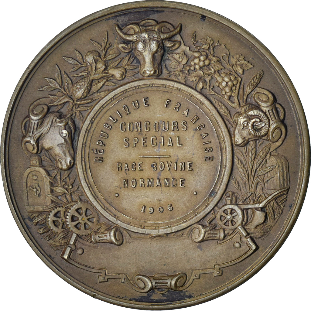 France, Medal, Concours, Race Bovine Normande, Caen, Agriculture, 1906