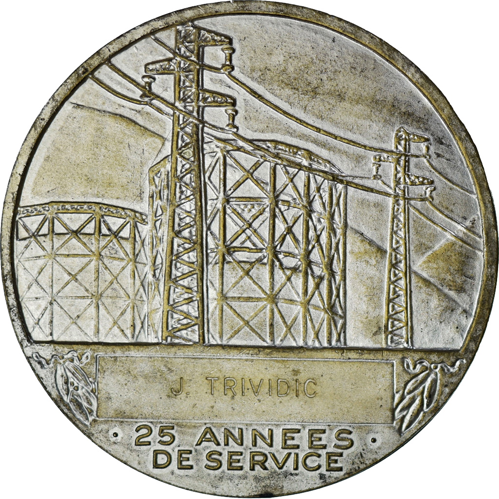 MEDAILLE BRONZE EDF GDF ELECTRICITE ET GAZ DE FRANCE / 55mm 73g - Collection
