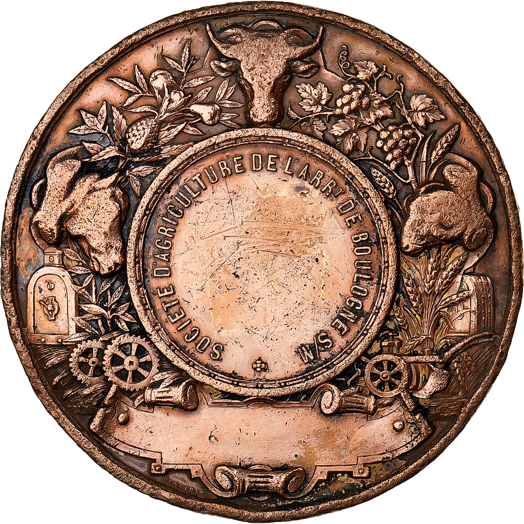 France, Medal, Napoléon III, Société d'Agriculture de Boulogne sur mer