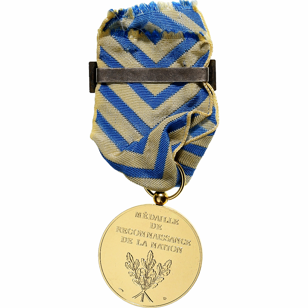 France, Reconnaissance de la Nation, Afrique du Nord, Medal, Excellent Quality