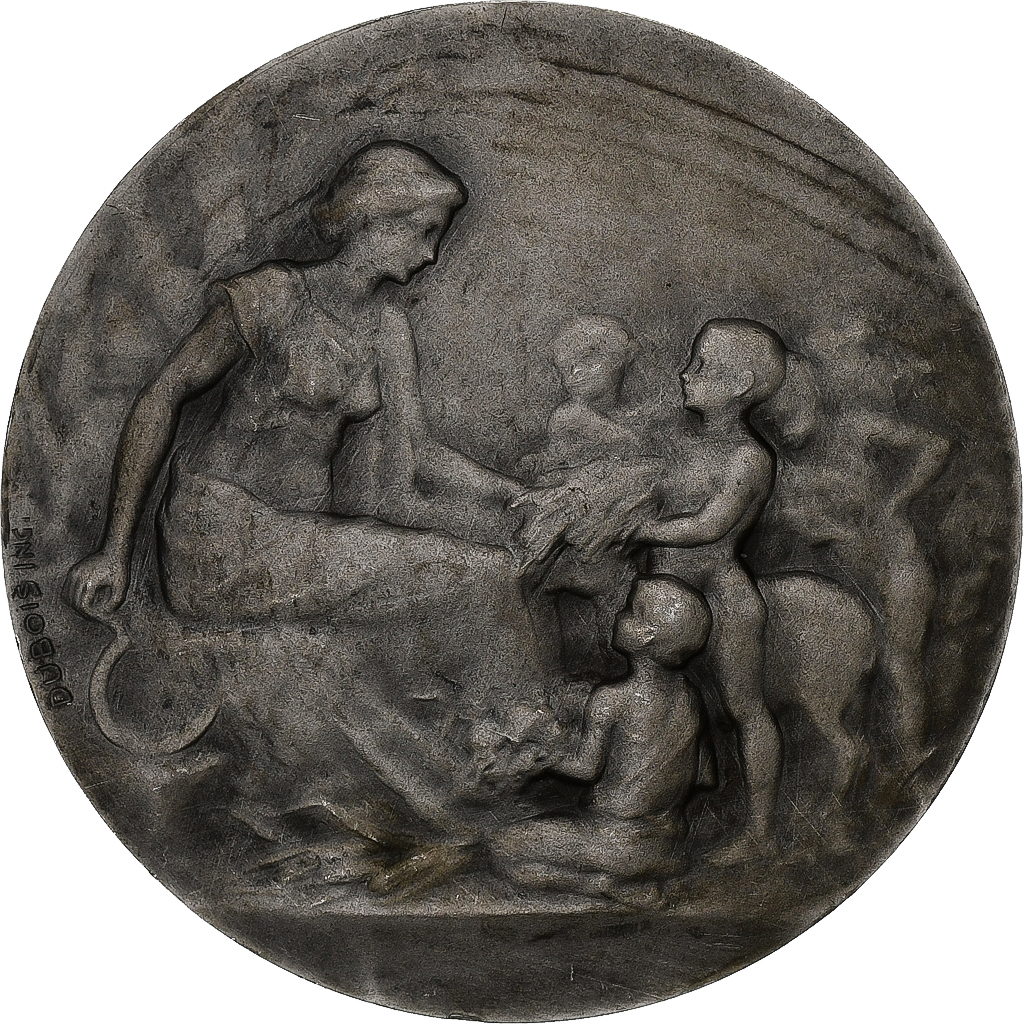 France, Medal, Offerte par Mr Declémy, Silvered bronze, Dubois, 