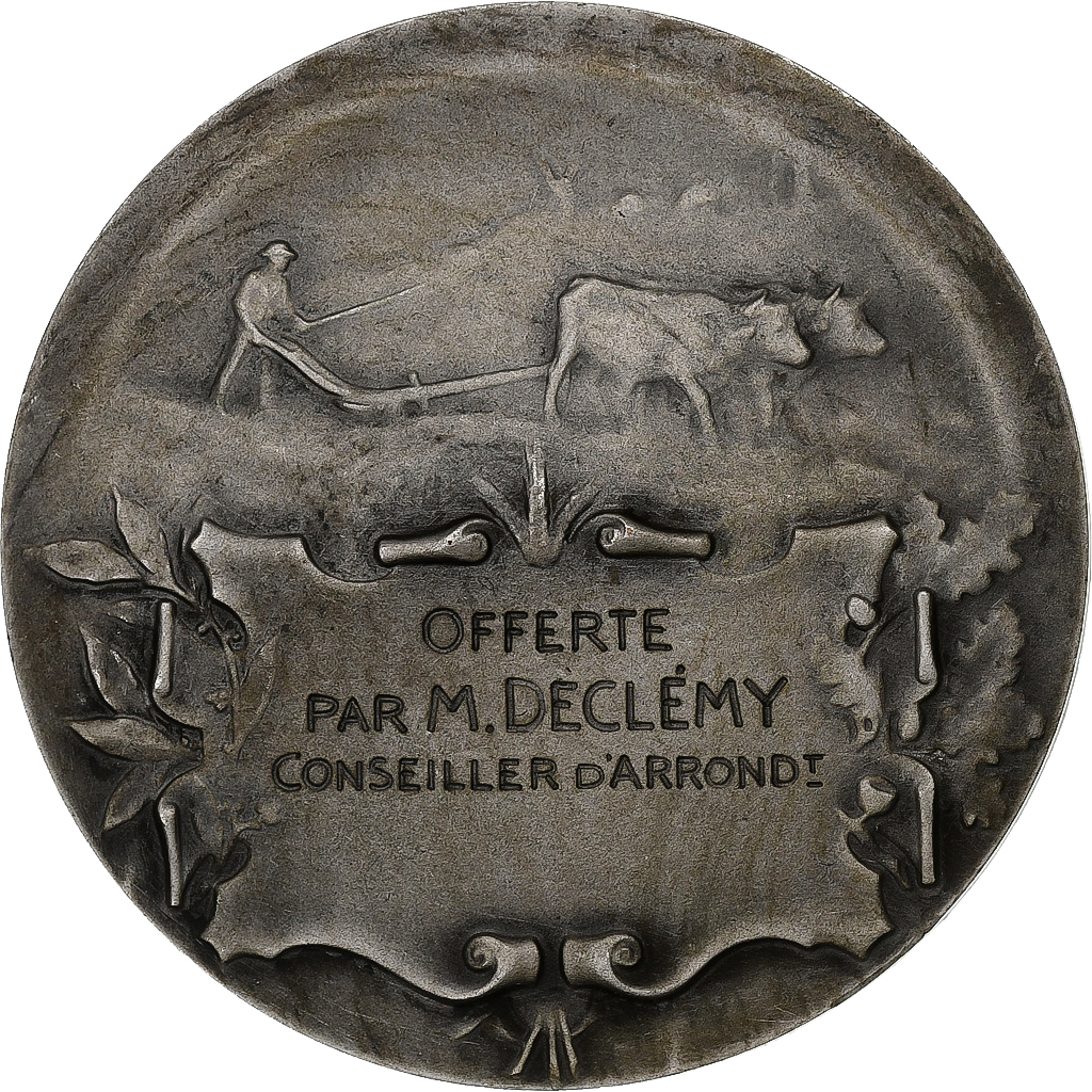 France, Medal, Offerte par Mr Declémy, Silvered bronze, Dubois, 