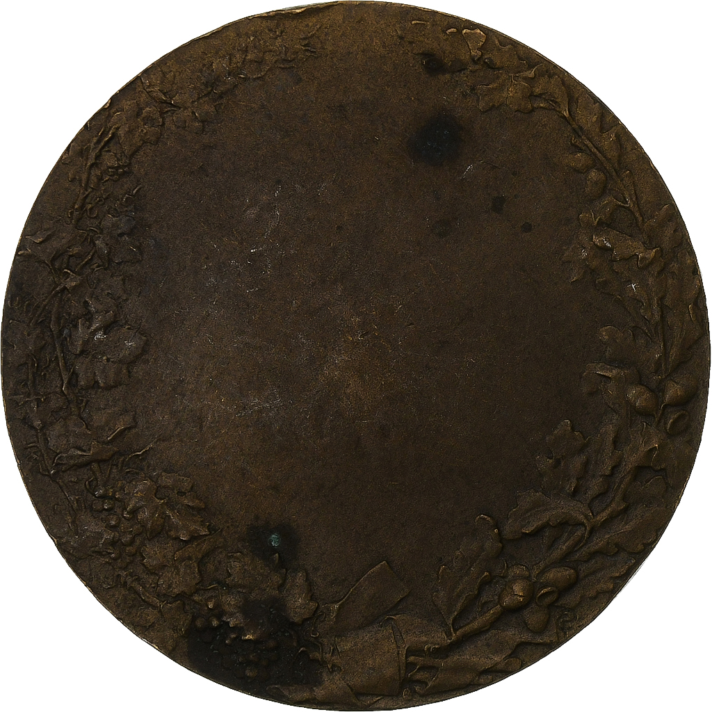 France, Medal, Société des agriculteurs de France, Bronze, Pillet, 