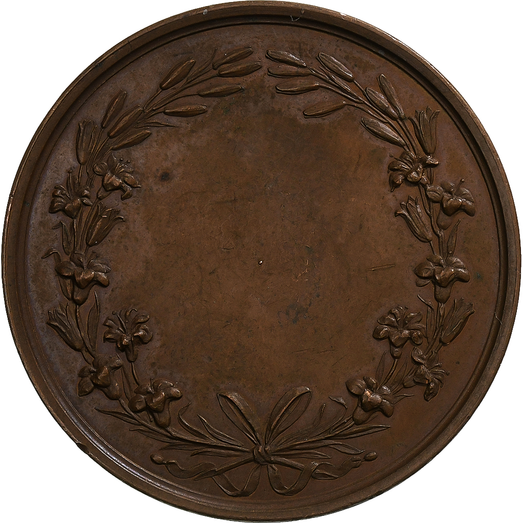 France, Medal, Henri De France, 1842, Copper, Gayrard, 