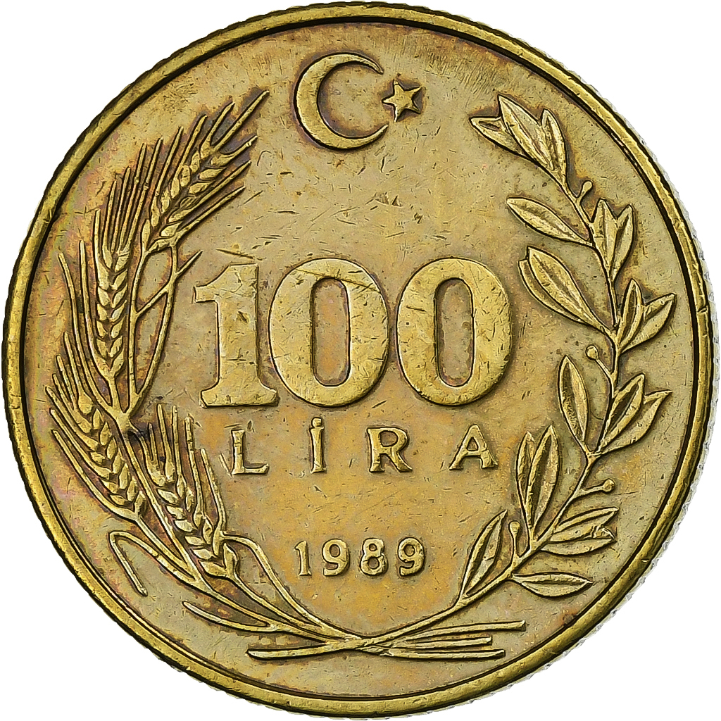 Turkey, 100 Lira, 1989, Aluminum-Bronze, , KM:988