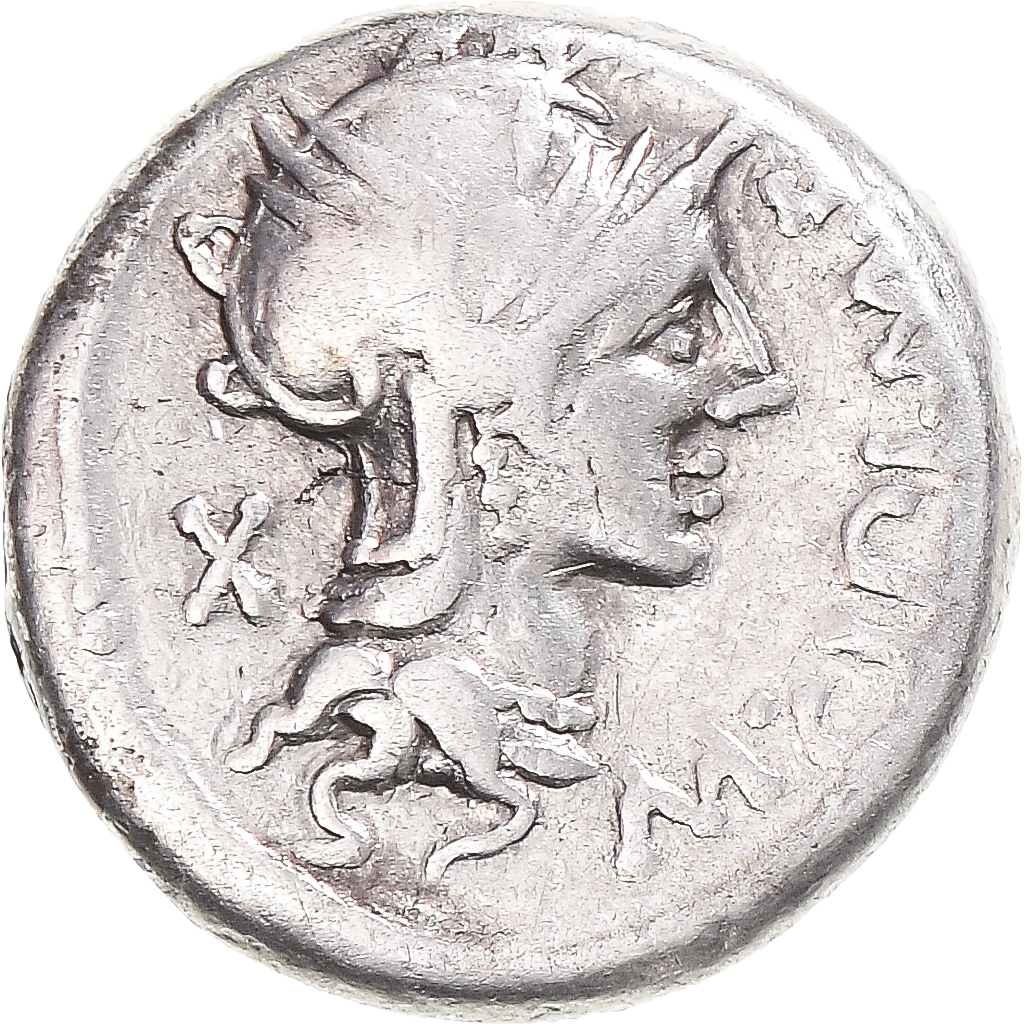 Coin, Cipia, Denarius, 115-114 BC, Rome, , Silver, Crawford:289/1