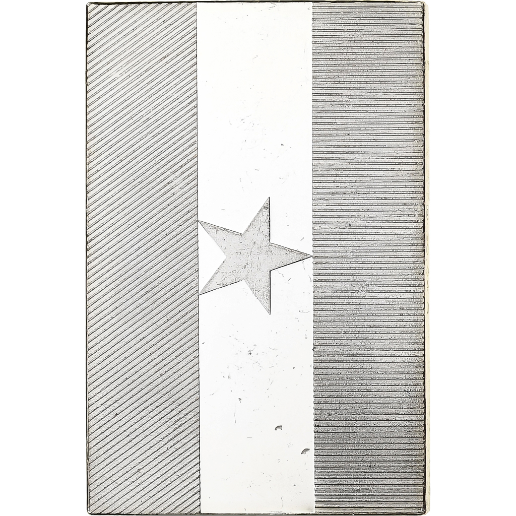 France, Medal, United Nations Flags, Ghana, Silver, 