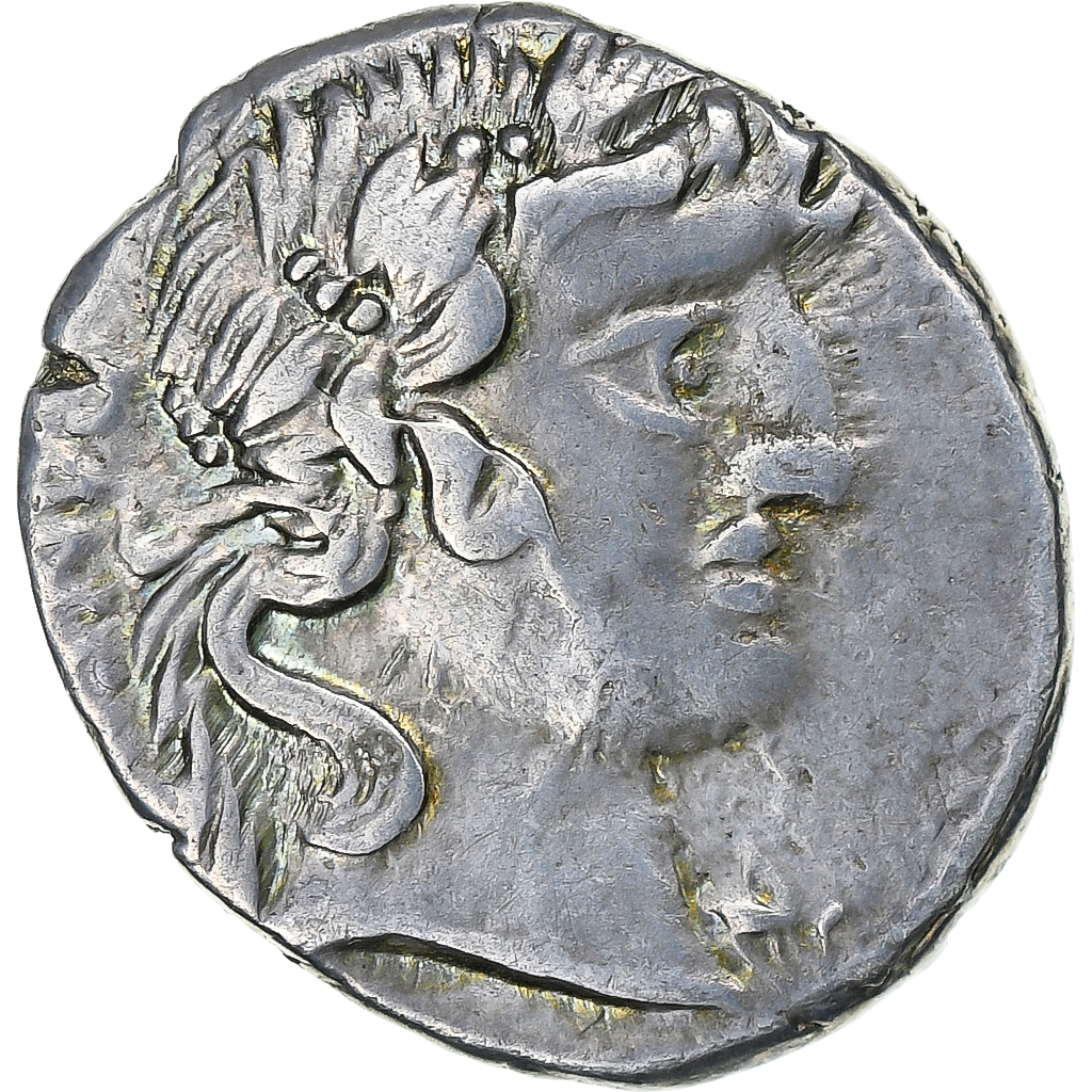 Vibia, Denarius, 90 BC, Rome, Silver, , Crawford:342/5