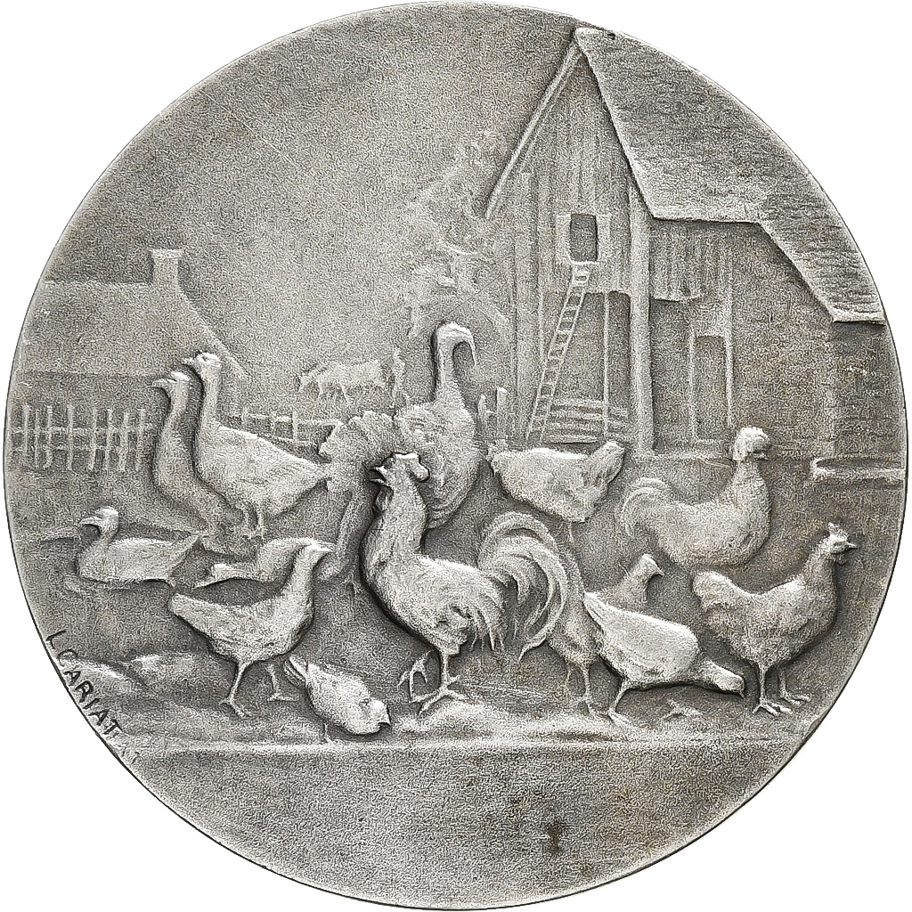 France, Medal, Basse-cour, ville de Béthune, Silvered bronze, Cariat, 