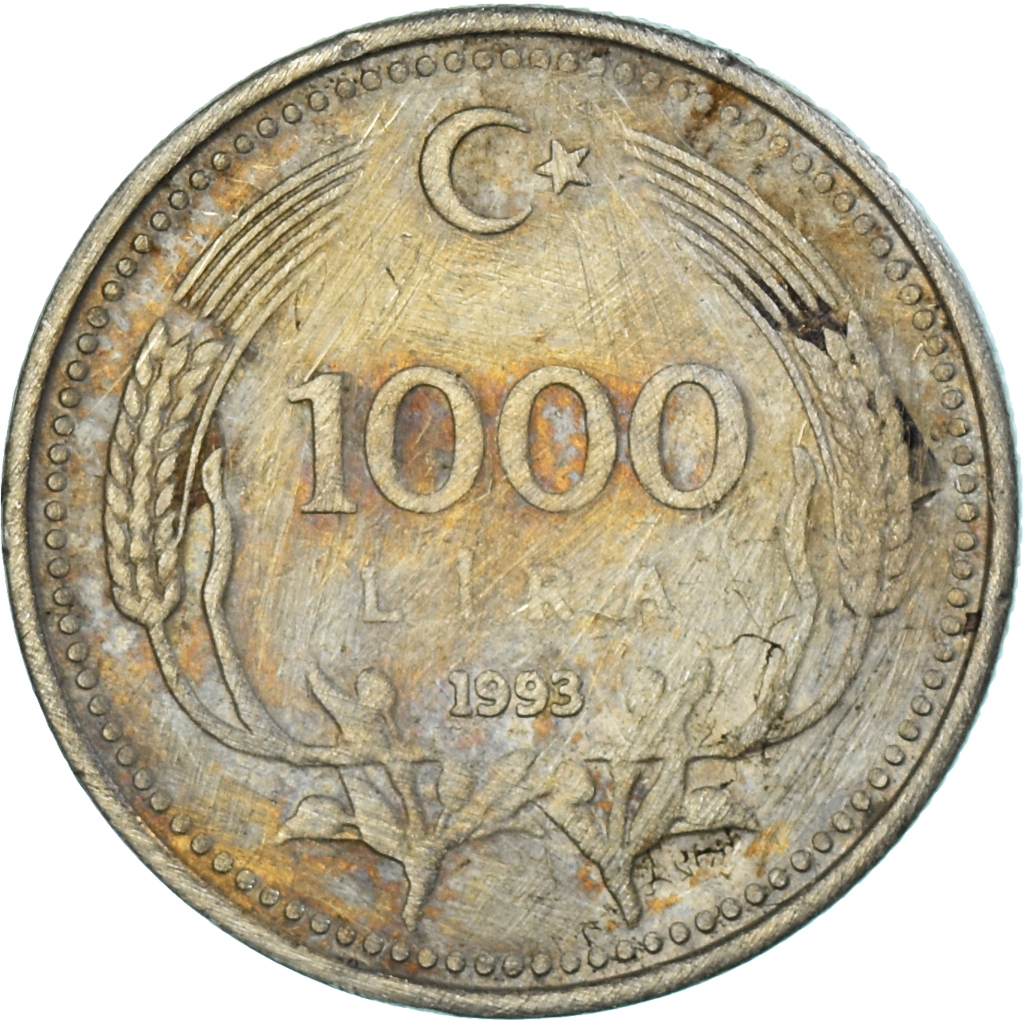 Coin, Turkey, 1000 Lira, 1993