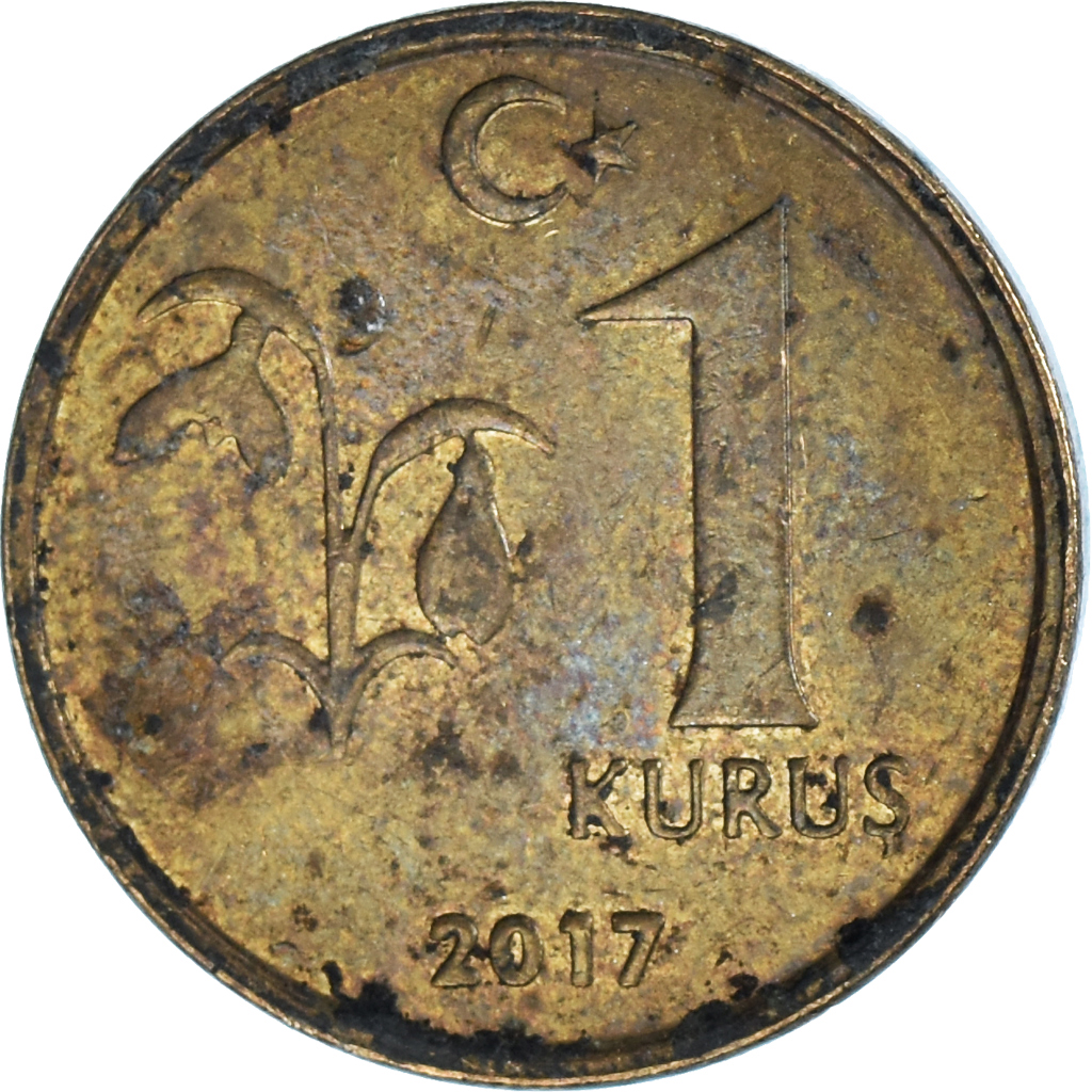 Coin, Turkey, Kurush, 2017