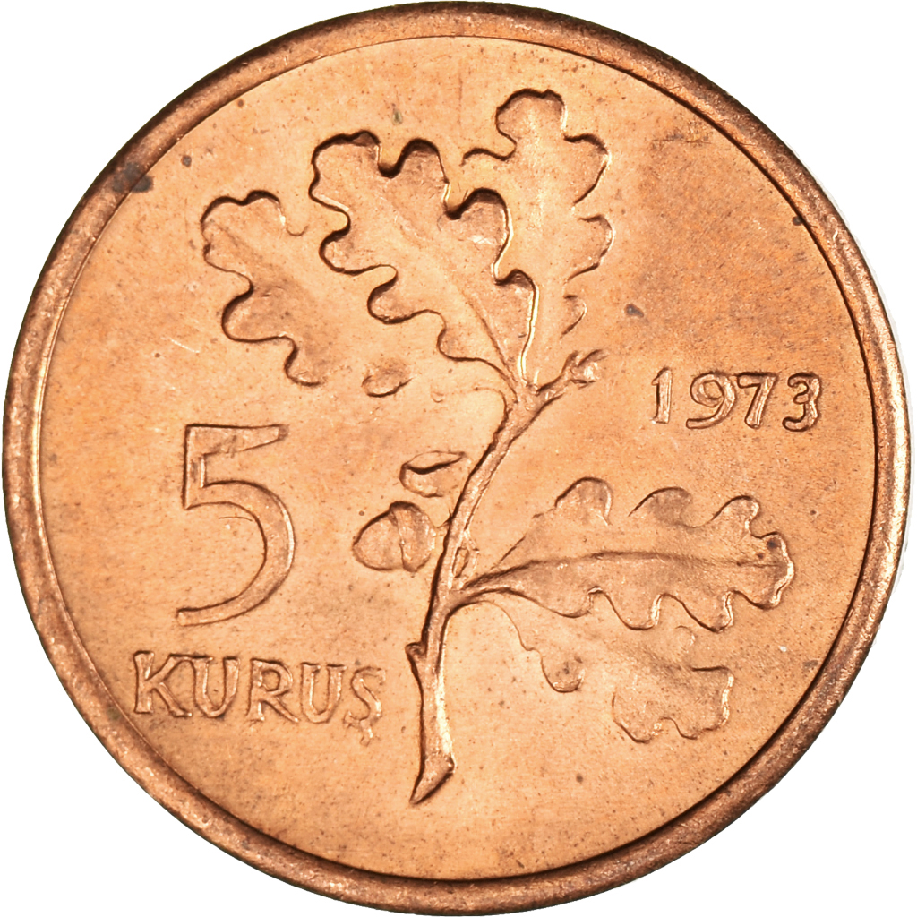 Coin, Turkey, 5 Kurus, 1973