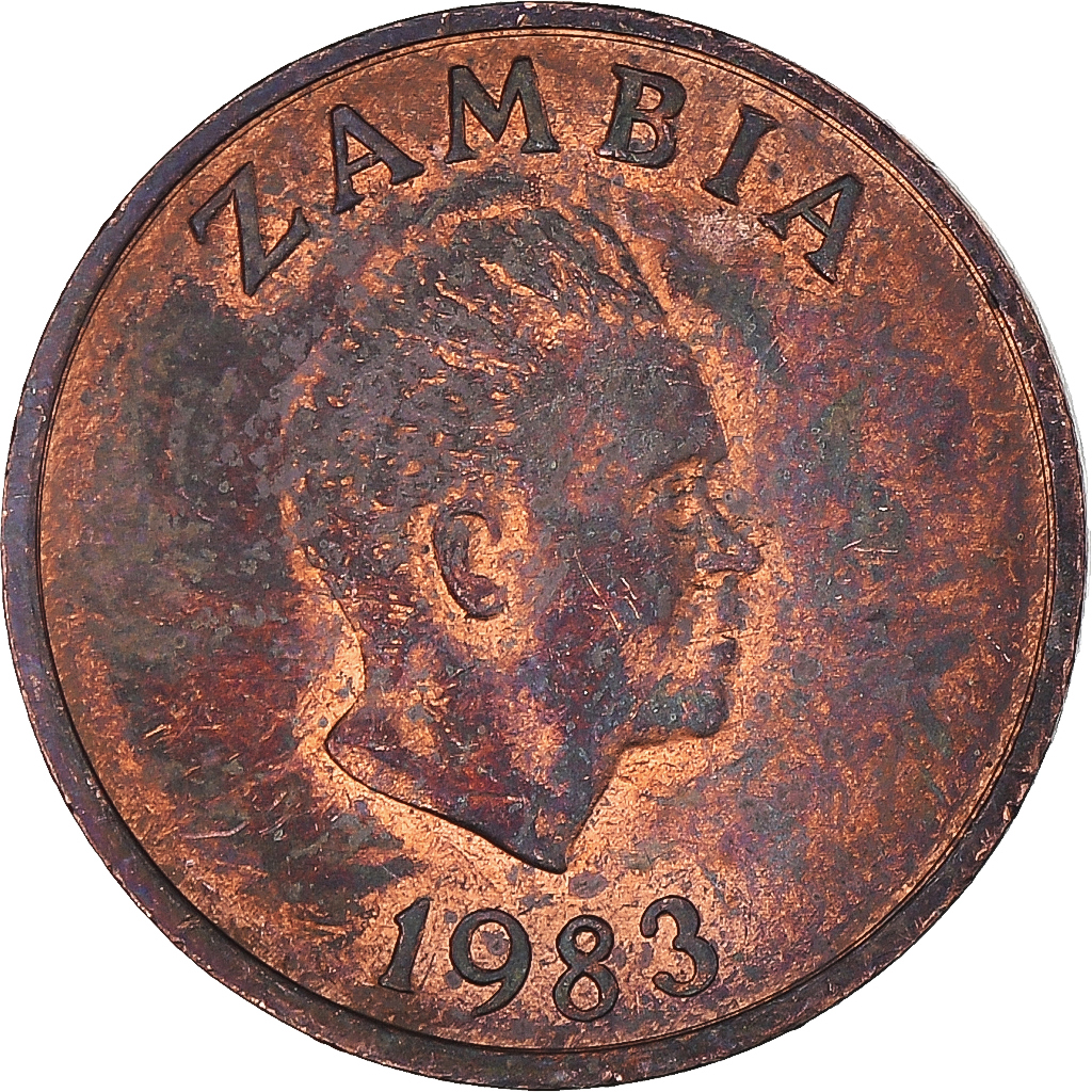 Coin, Zambia, Ngwee, 1983 African Coins