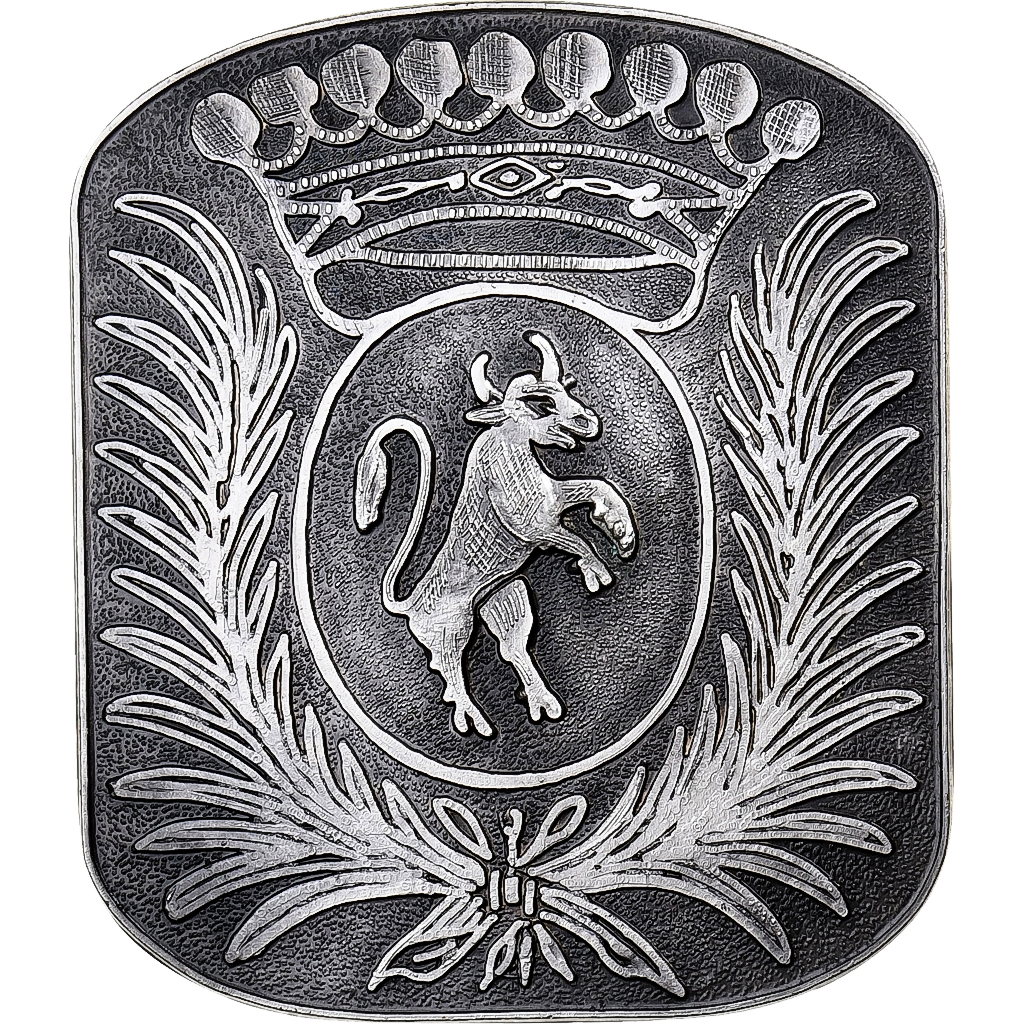 Italy, Medal, Antico Sigillo della Citta di Torino, Silvered bronze, 