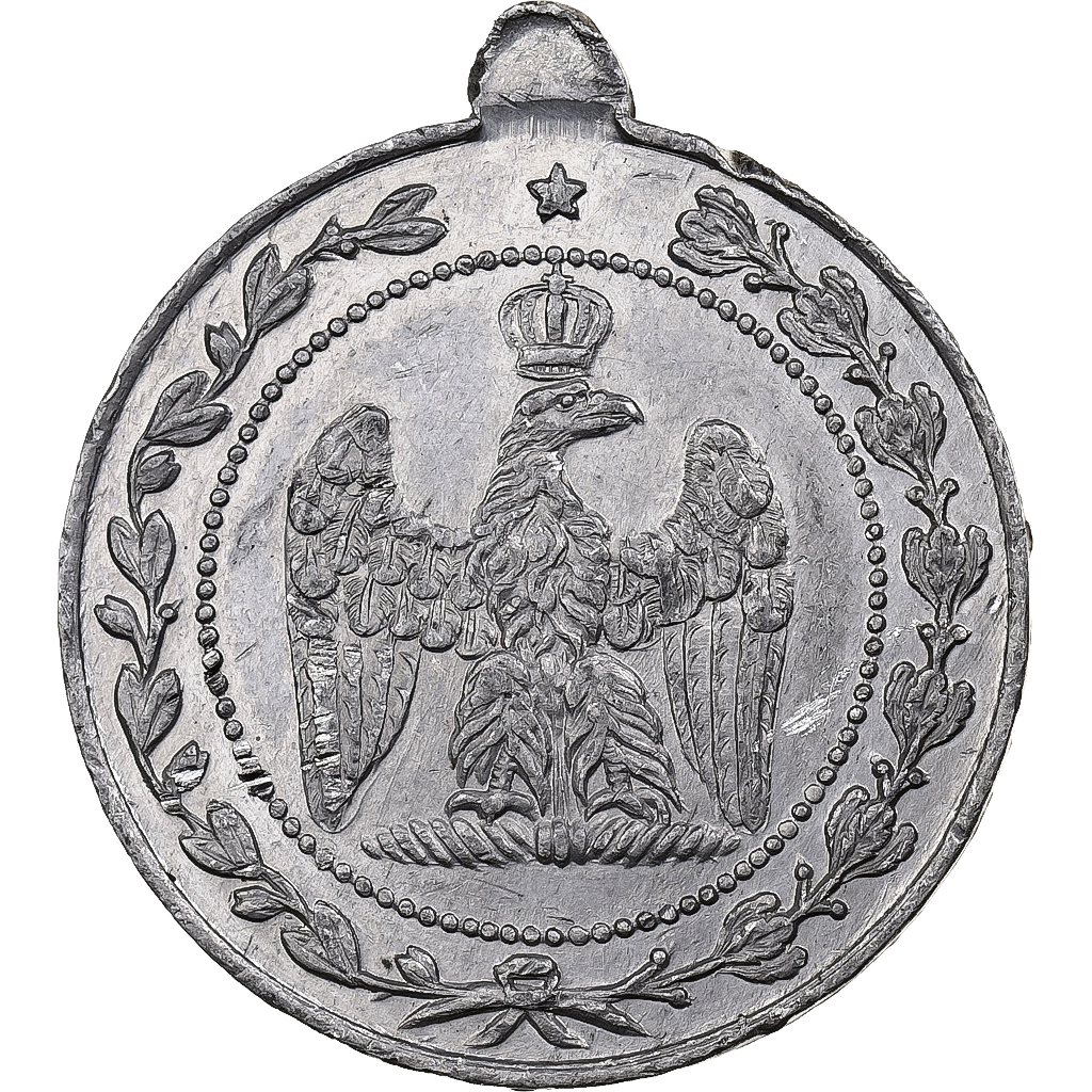 France, Medal, Napoléon III, Fêtes Impériales, Tin, Derville, 