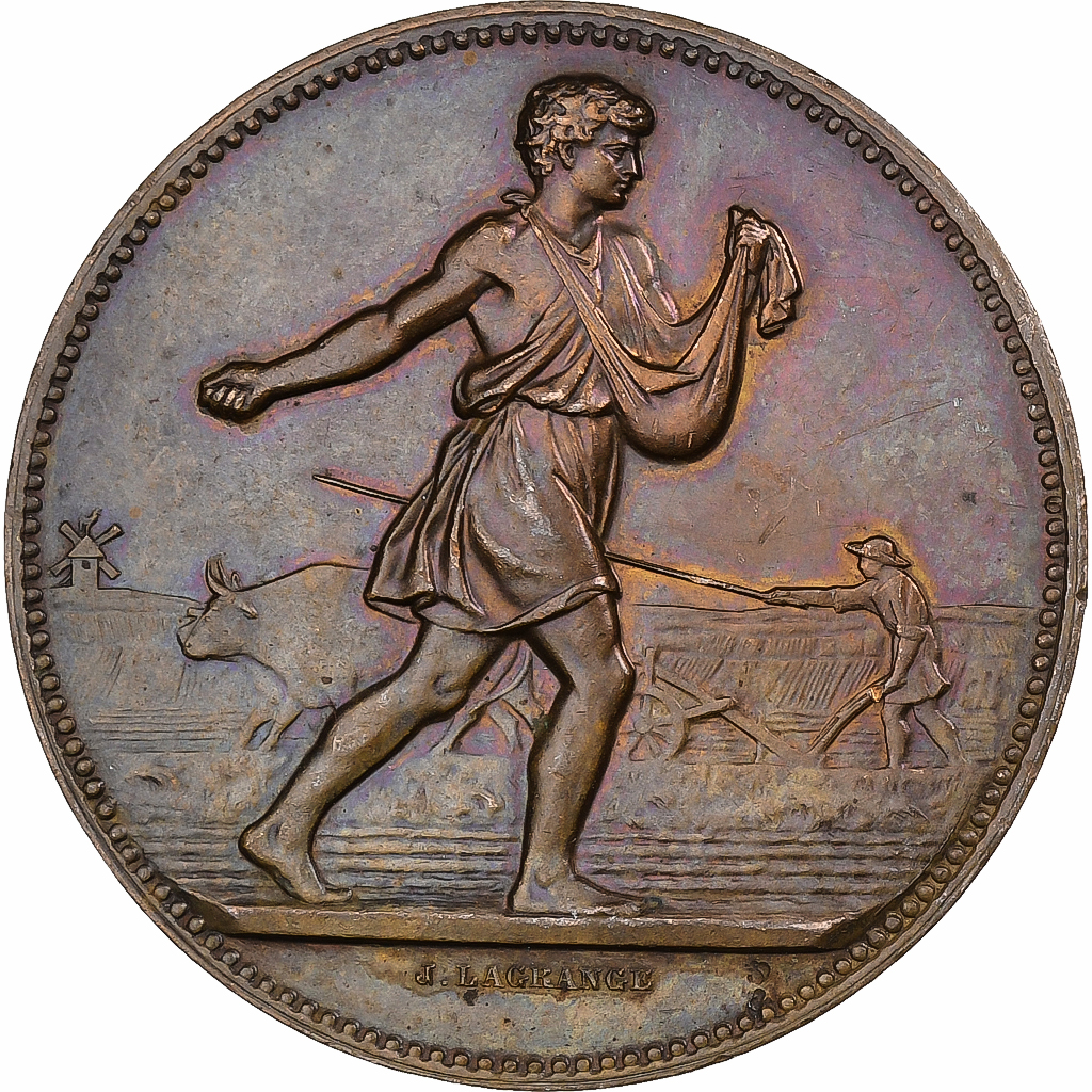 France, Medal, Comice Agricole de l'Arrondissement de Nevers, 1889, Bronze