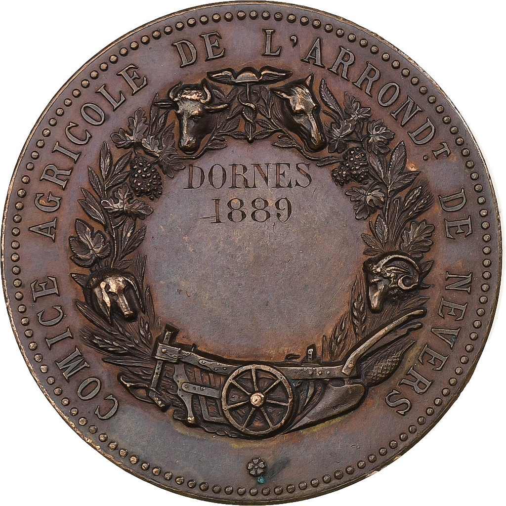 France, Medal, Comice Agricole de l'Arrondissement de Nevers, 1889, Bronze