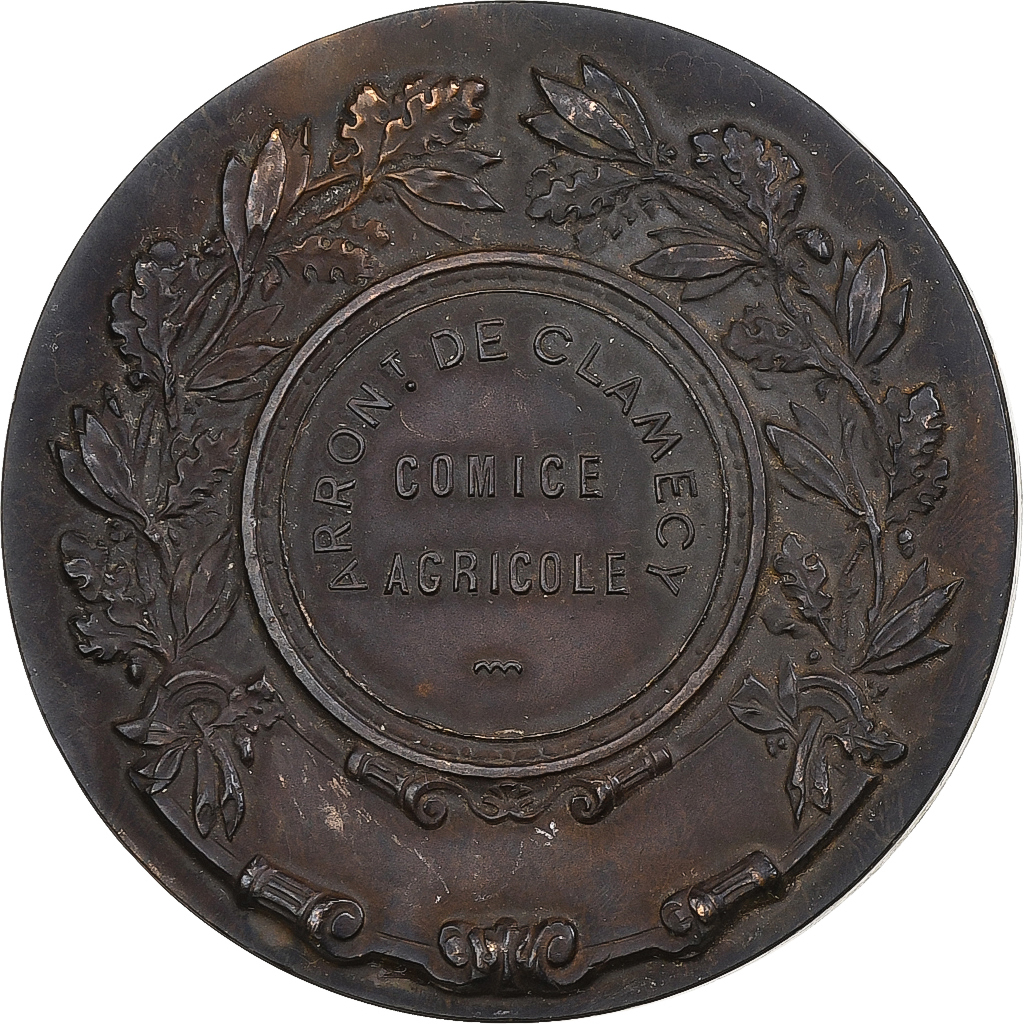 France, Medal, Comice Agricole de Clamecy, Nièvre, n.d., Bronze, Naudé