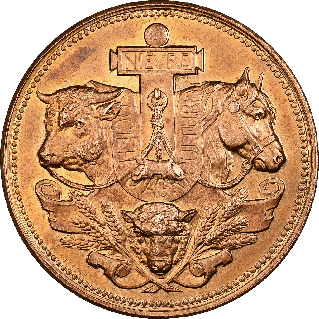 France, Medal, Agriculture, Concours général de Nevers, Nièvre, 1894, Bronze