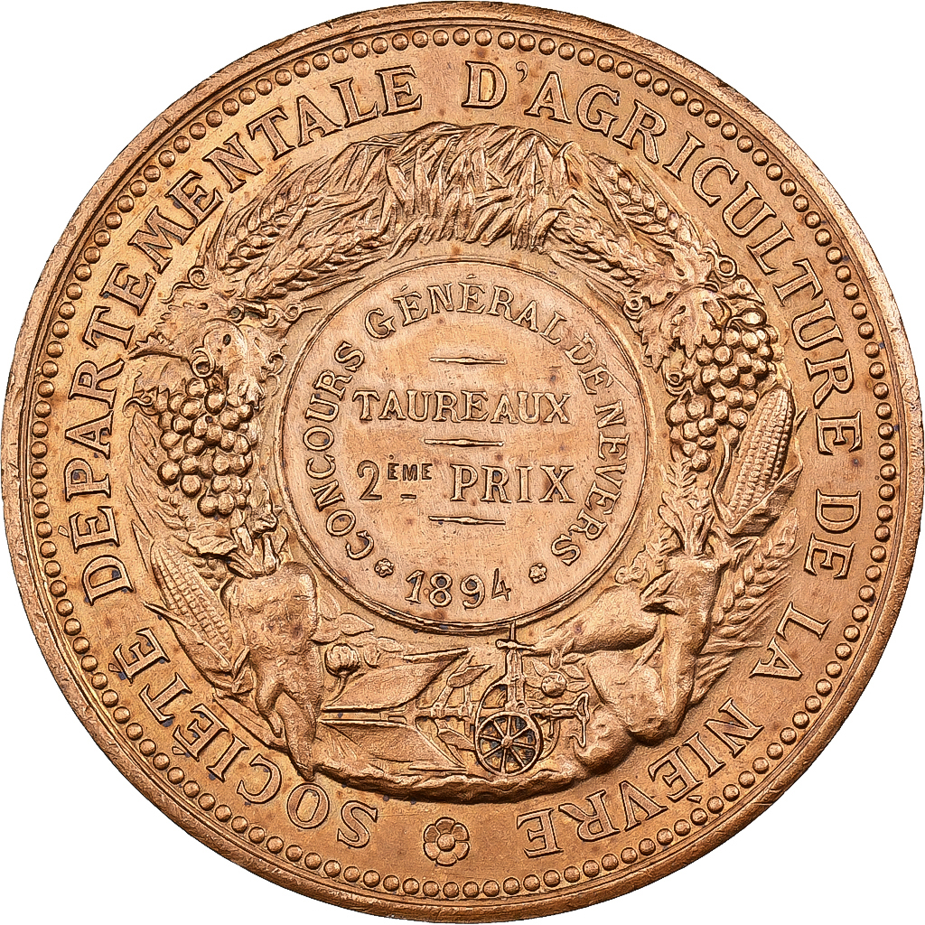France, Medal, Agriculture, Concours général de Nevers, Nièvre, 1894, Bronze