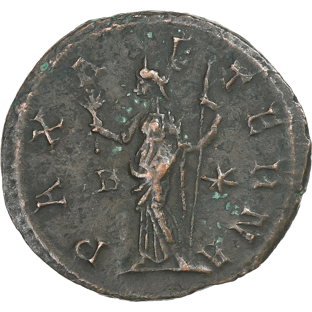 Tacitus, Antoninianus, 276, Lugdunum, Bronze, , RIC:33