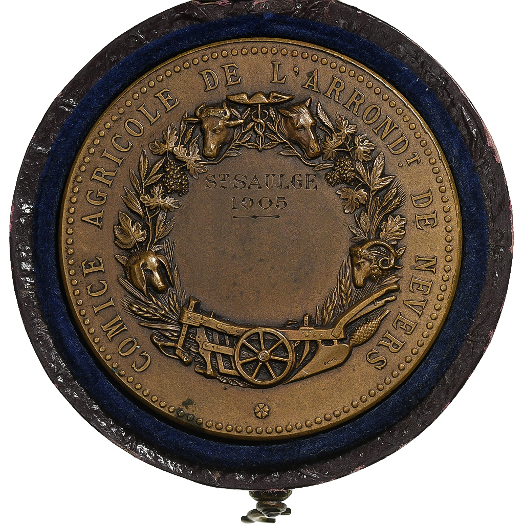 France, Medal, Comice Agricole de l'Arrondissement de Nevers, 1905, Bronze
