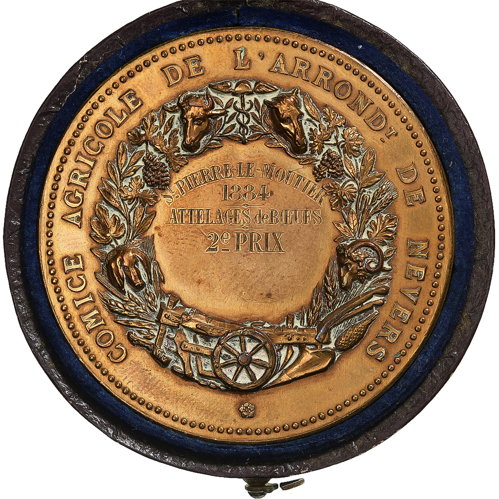 France, Medal, Comice Agricole de l'Arrondissement de Nevers, 1884, Bronze