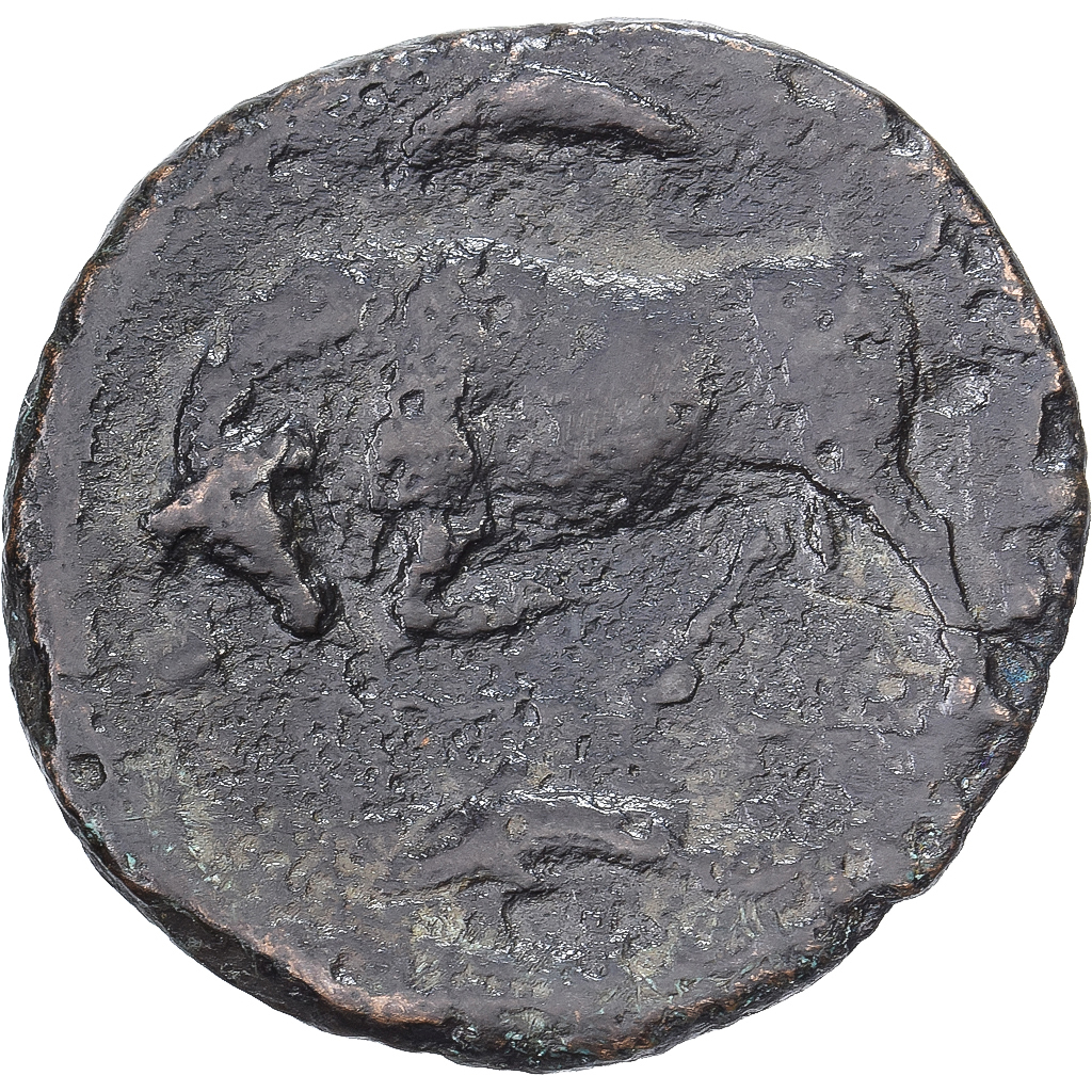 Sicily, Agathokles, Litra, 317-289 BC, Syracuse, Bronze, VF(30-35)