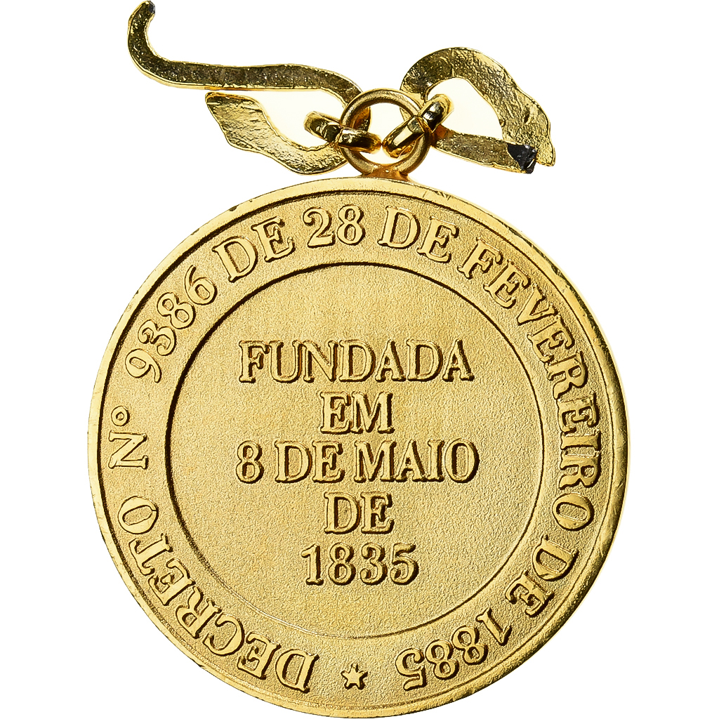 Brazil, Medal, Academia Nacional de Medicina, Rio de Janeiro, Gilt Metal, 