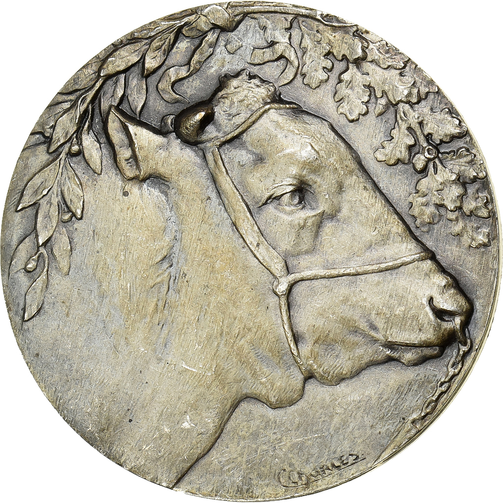 France, Medal, Taureau, Silvered bronze, Charles, 