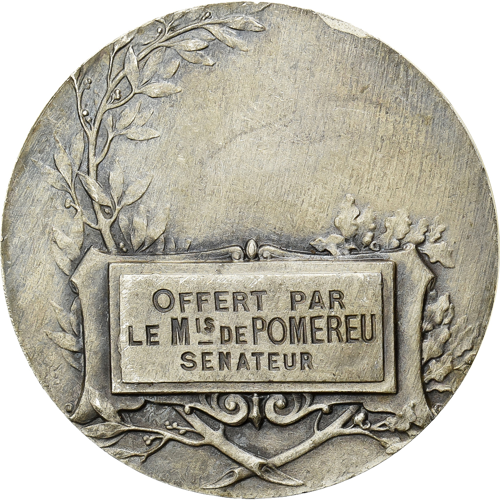 France, Medal, Taureau, Silvered bronze, Charles, 