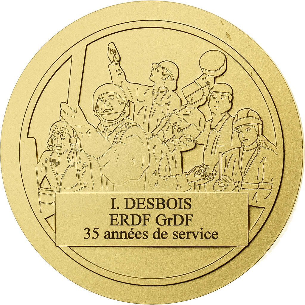 France, Medal, GRDF, Gilt Bronze, Arthus Bertrand, 