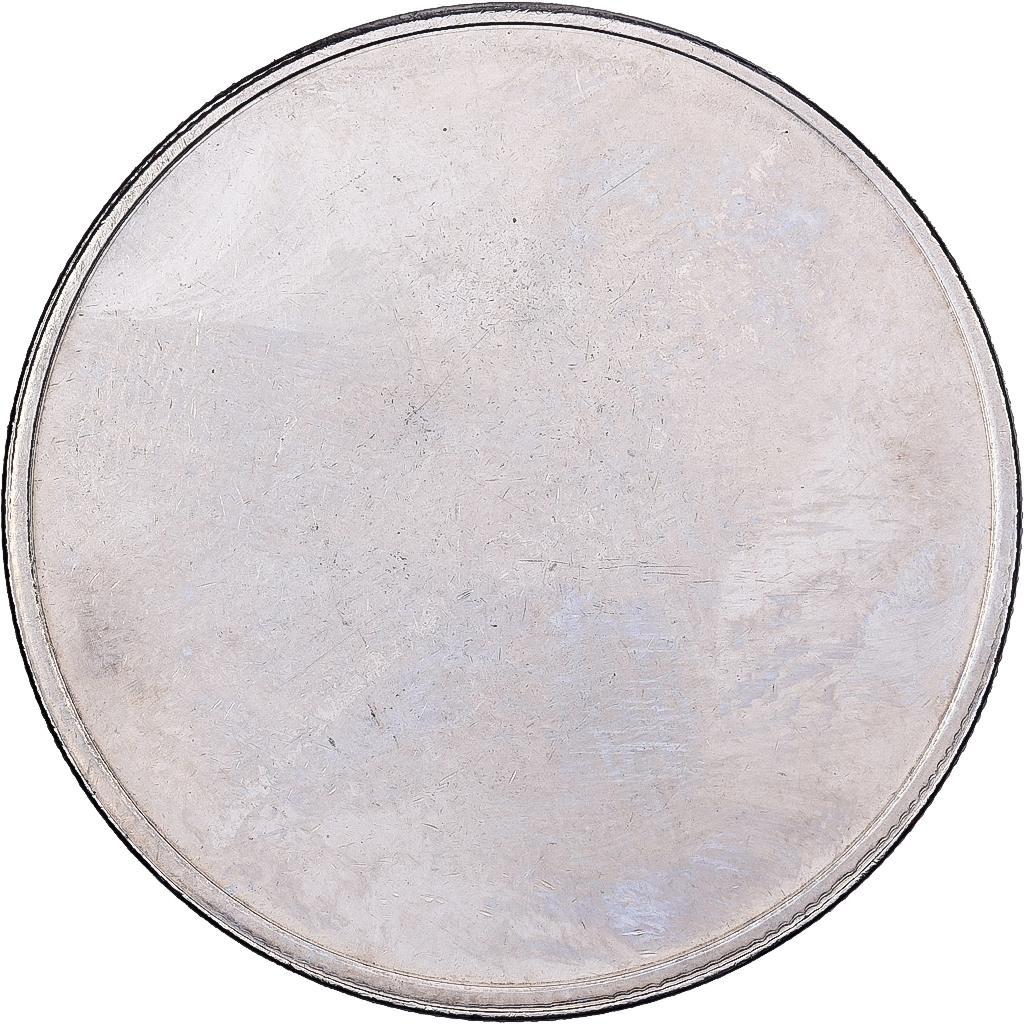 France, Medal, Général De Gaulle, Silvered bronze, Thiébaud, 