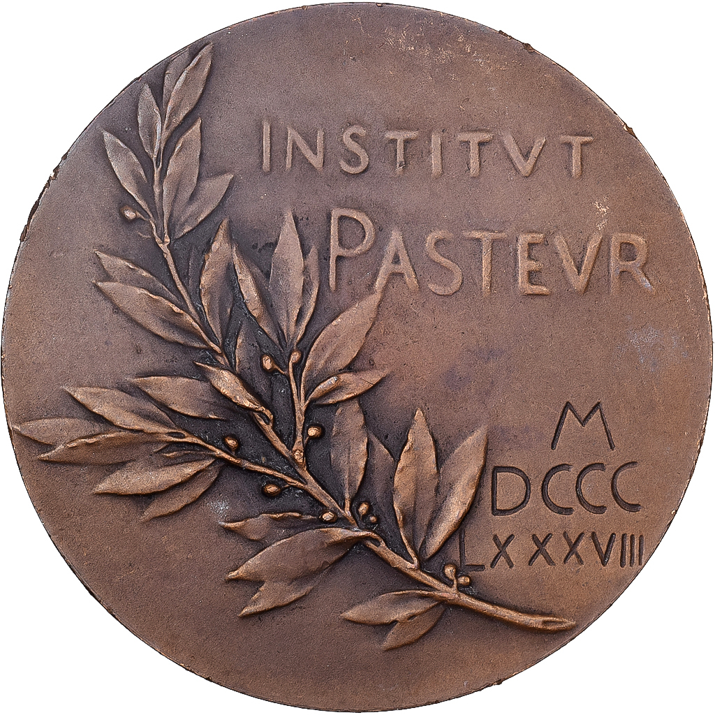 France, Medal, Louis Pasteur, 1888, Bronze, Roty, 