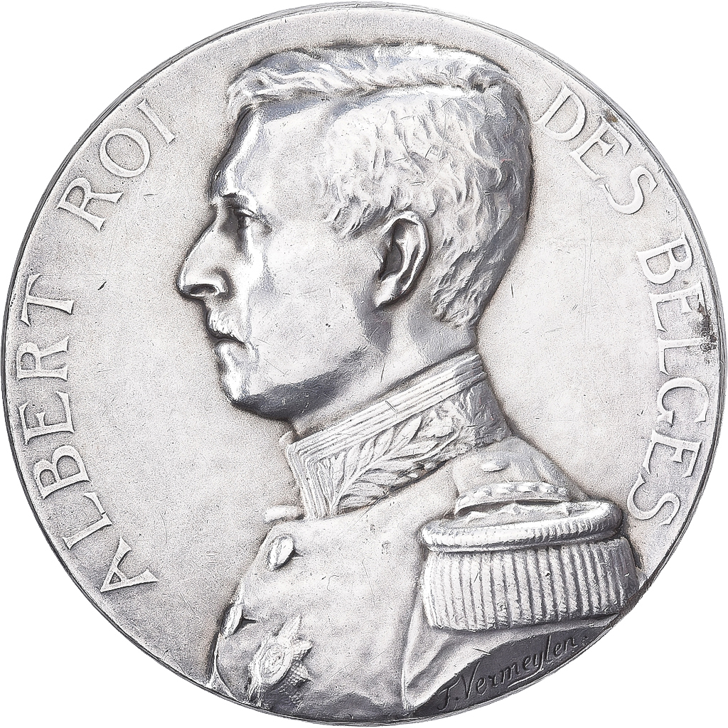 Belgium, Medal, Albert Ier, Beaux-Arts, Silver, Vermeylen, AU