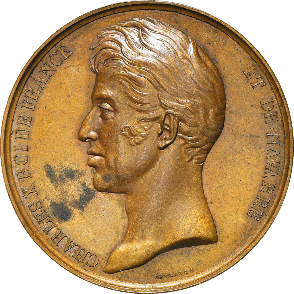France, Medal, Charles X, Reconstruction de la Salle des Séances, Chambre des