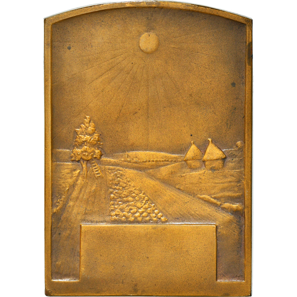 France, Medal, Agriculture, Comptoir Français de l'Azote, Delannoy, 